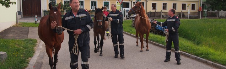 Einsatz Tierrettung